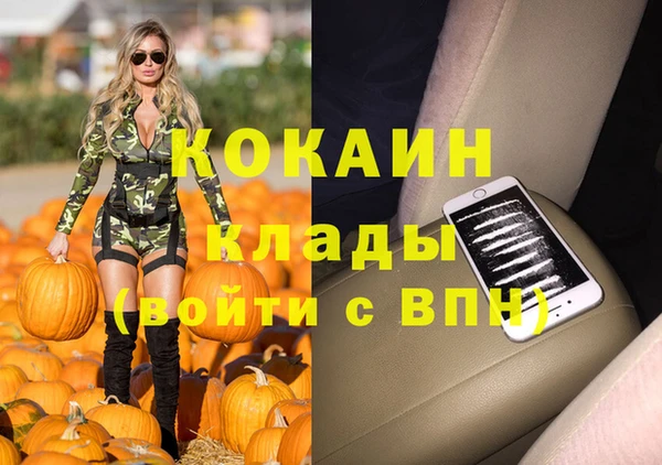 2c-b Лагань