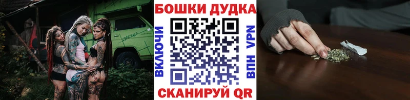 Бошки марихуана марихуана  кракен маркетплейс  Шацк  где купить наркоту 